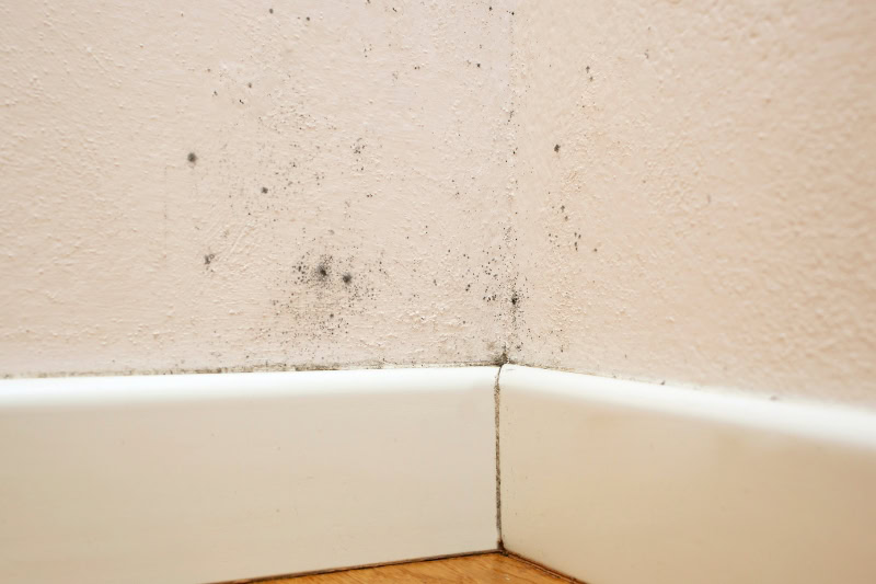 detectar humedades en casa